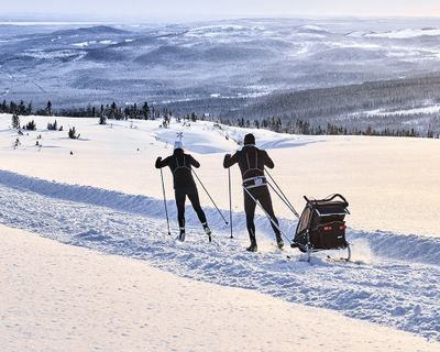 Zwei Skifahrer mit einem Thule Fahrradanhänger fahren auf Ski durch eine verschneite Landschaft.