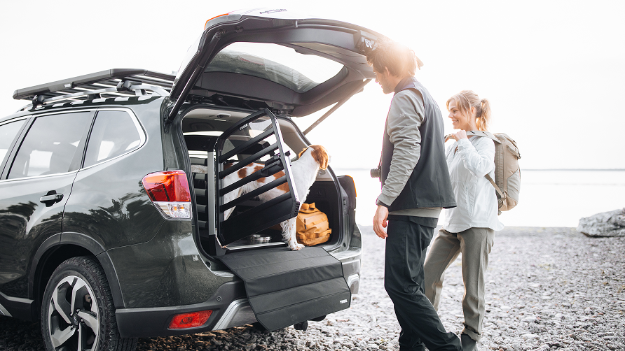 Un hombre y una mujer junto al maletero abierto de un SUV aparcado en una playa rocosa. Se puede ver a un perro detrás de un transportín de coche para perros Thule Allax en el compartimento de equipaje.