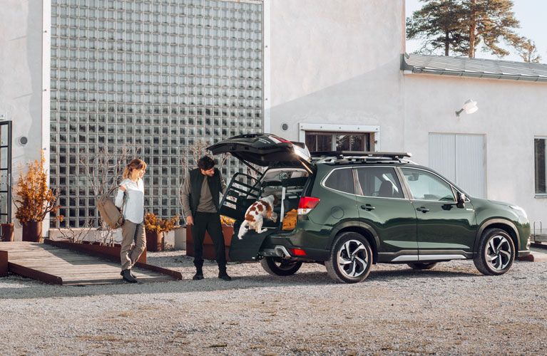 Um homem e uma mulher parados junto a um carro com a bagageira aberta, uma caixa para cães e um cão.