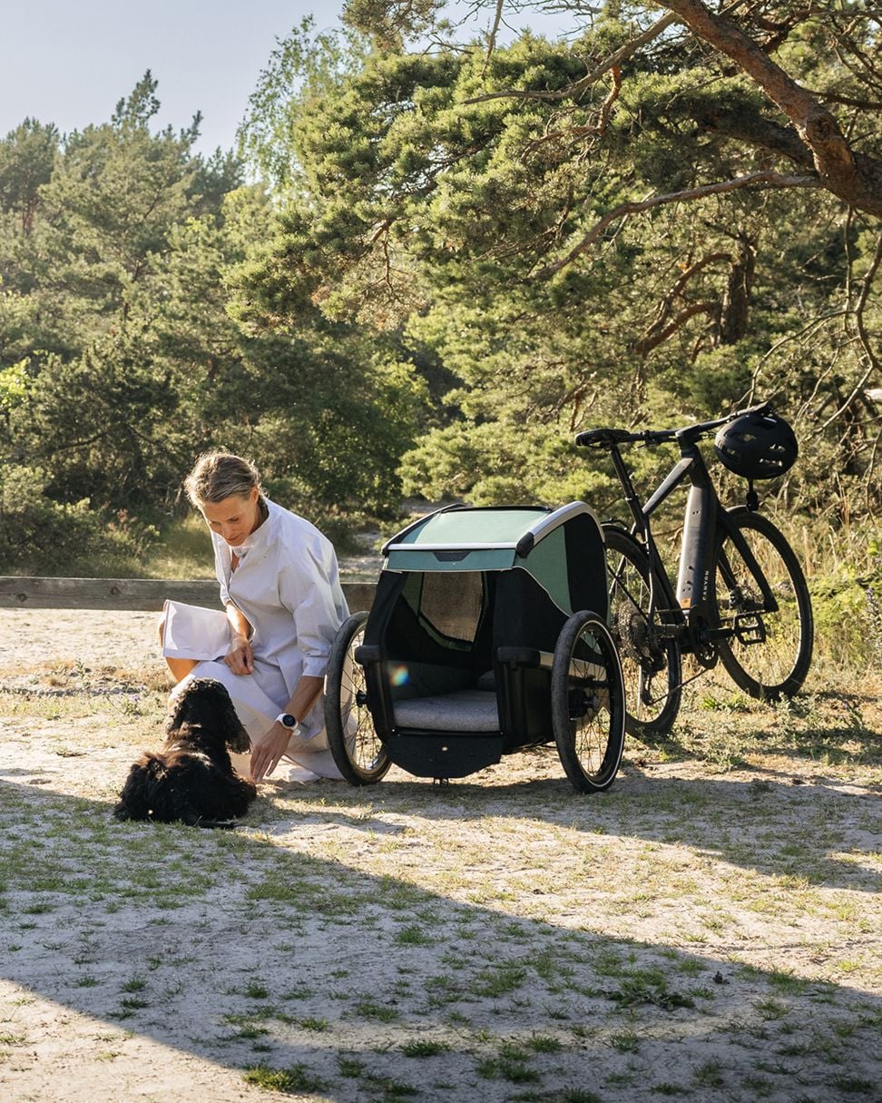 Erwachsener kniet neben einem Hund neben einem Fahrrad mit einem Fahrradanhänger für Hunde.