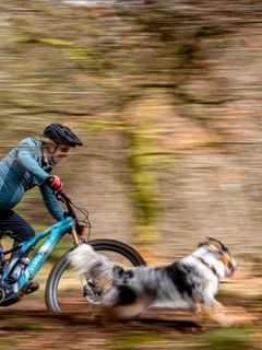 A woman biking fast on a mountainbike and a dog running beside her.