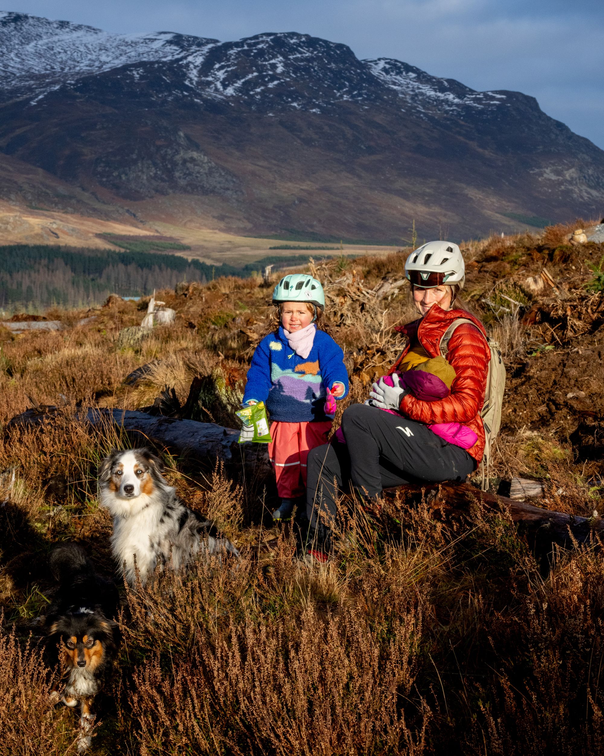 A woman, two children and a dog sitting on a log in a hilly environment.
