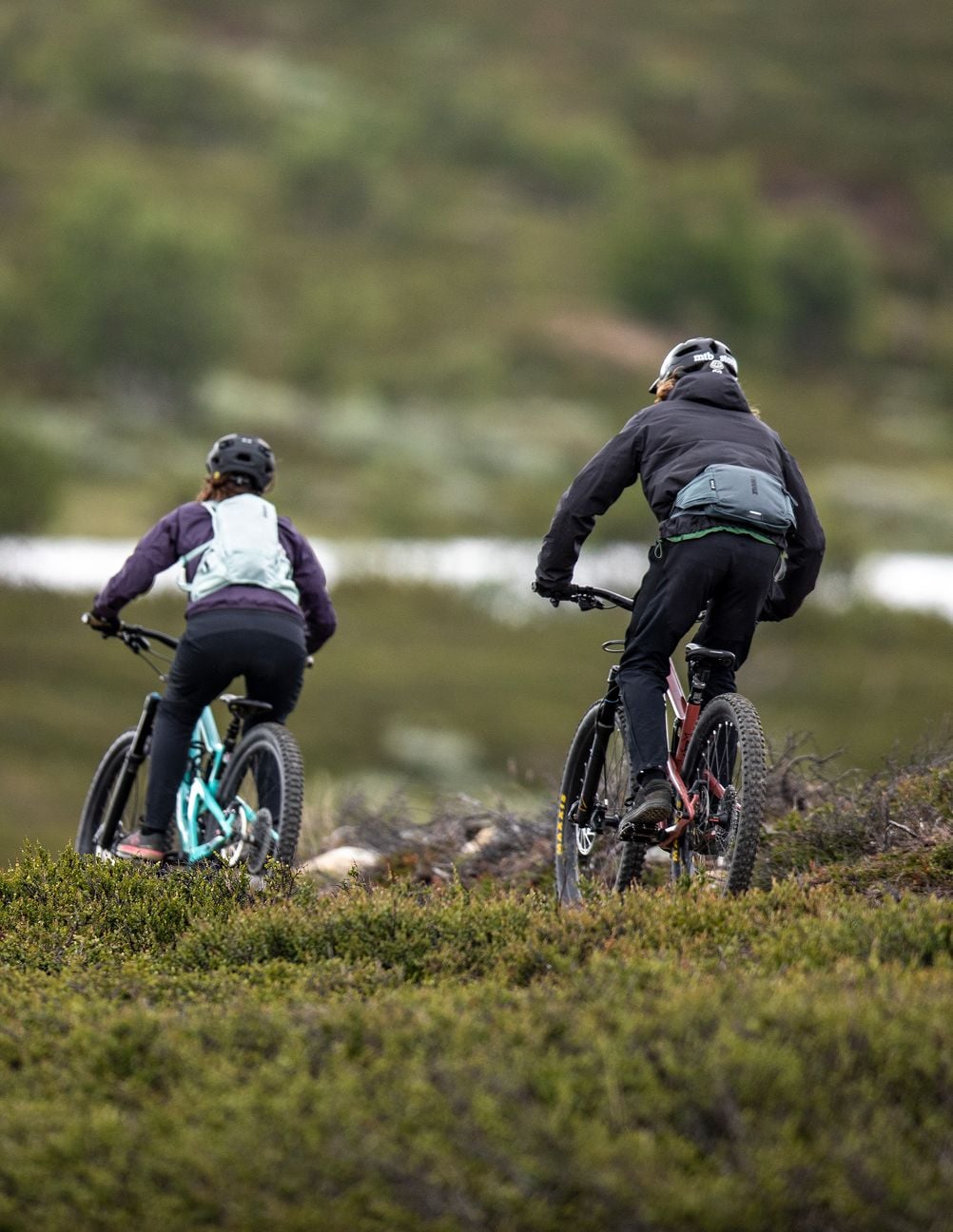 Two cyclists ride mountain bikes along a narrow trail through, seen from behind.