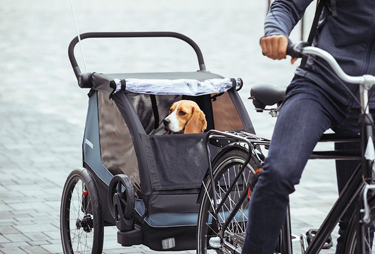 A man biking in a city landscape carrying his dog in a Thule Courier bike trailer
