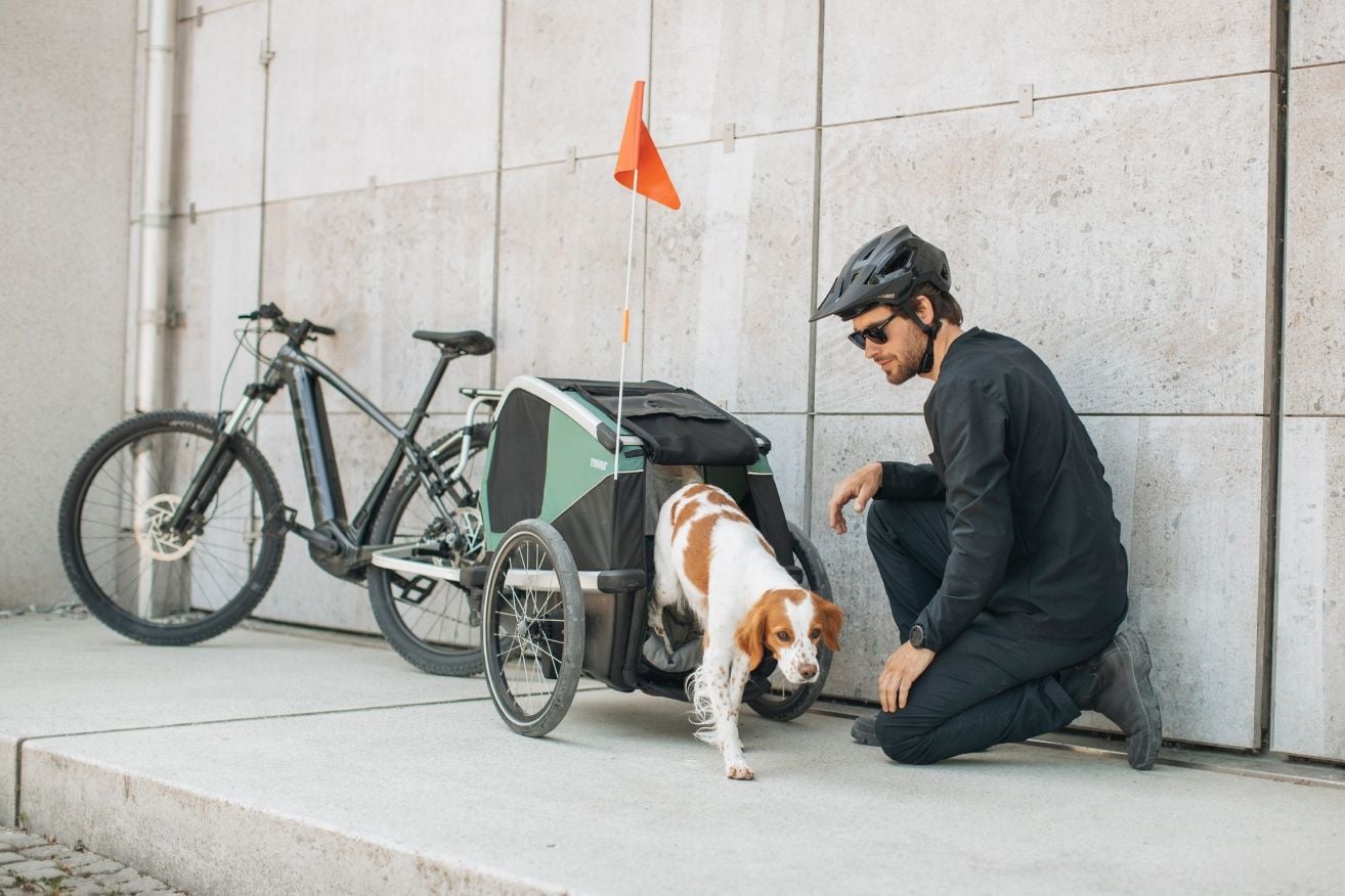 Um cão sai de um atrelado para bicicleta Thule Bexey acoplado a uma bicicleta, enquanto um homem se ajoelha junto do atrelado. 