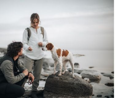 En hund står på en stor sten vid en strand och en man och en kvinna står bredvid. 
